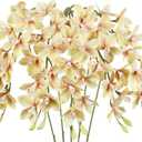 IPOPU 5 Pcs Real Touch Faux Orchid Champagne Orchid Artificial Flowers with Long Stem for Wedding Party Centerpiece Bridal Bouquet DIY Home Living Room Decoration