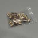 20Pcs Fake Artificial Vegetable Small Lifelike Artificial Faux Gray Mushroom Party Decor Ornament, Simulation Display Foam Realistic Model for Home Kitchen Themed Tabletop Decor Photography Props