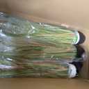 Jexine 6 Pcs 4 ft Tall Artificial Grass Plant Potted Artificial Greenery Floor Plants Faux Pampas Grass Tall in Pot for Housewarming Gift House Garden Bathroom Lobby Outdoor Decoration