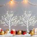 BDUSXYZ Lighted Birch Tree for Christmas Decorations  Set of 2 36 LED Light up Artificial Tree Tabletop Bonsai Tree Indoor Warm White