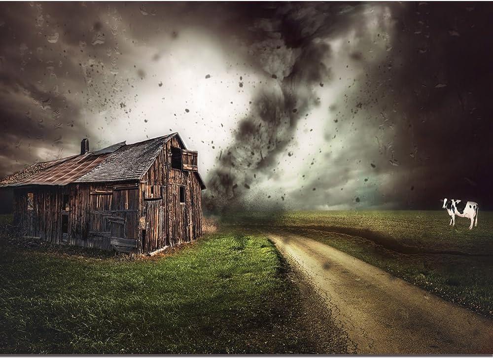 10x8ft Fairy Tale Tornado Halloween Party Photography Backdrop Farm Grassland Photo Background Chalet Girl Children Birthday Party Decor Newborn Video Shooting Studio Props