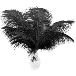 24pcs Natural Black Ostrich Feathers 10-12inch (25-30cm) for Wedding Party CenterpiecesFlower Arrangement and Home Decoration. (10-12 inch - 24Pcs)