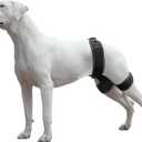 Dog Hip Brace  Support Harness for Hip Dysplasia, Joint Pain Relief, Prevents Hip Joint Issues, Orthopedic Support for Dogs(XL)