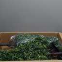 36" Faux Boxwood Plants Outdoor Set of 2, UV Resistant Artificial Topiary Trees with Ground Spike, 3ft Fake Evergreen Bushes & Shrubs for Outside Planters Front Door Porch Patio Decor