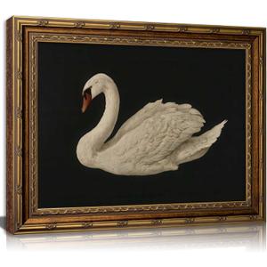 Vintage Gold Framed Swan Wall Art Antique White Swan Painting Canvas Print Dark Country Animals Picture Wall Decor Rustic Farmhouse Poster Artwork for Bedroom Living Room Home Decoration  16"L x 24"W