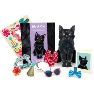 Freshcut Paper Pop Up Pet Cards, Gifts for Cat Lovers, Birthday Cards with Accessory Sheet, Note Card & Envelope, 3D Popup Greeting Card, Black Cat (Everyday)