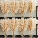40" inch 40 Stems Natural Pampas Grass Decor Tall, pompas Grass, Tall Pampas Grass for Wedding, Party, Farmhouse, Boho Home Decor