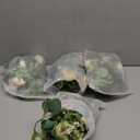 TOCHGREEN 4 Pack 24Ft Artificial Eucalyptus Flower Garland with Champagne Roses, Fake Rose Flower Greenery Garland Floral Vines for Wedding Home Party Table Runner Decor (4PCS, Champagne)