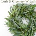 Olive Wreath for Front Door 22 inch, Greenery All Season Wreath with Olive Leaf Fruit, Home Decoration for Outdoor Living Room Indoor Wall and Outside Summer All Season Wedding