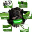 Light Up Dog Collar – Reflective, Adjustable & Rechargeable Electronic Glow Pet Collars – Bright, Comfortable, High Visibility LED Dog Collar for Night Safety, Outdoor Walk, Flashing Fun, Green, Small