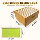 10 Frame Deep Brood Box Langstroth Bee Hive Box | 10 Pack, Unassembled 100% Dipped in Beeswax, Thickness 20 Mm, Include Beehive Frames and Wax Foundations