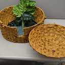 Cat Hidden Litter Box Enclosure Furniture with Artificial Plants,Handwoven Rattan with Cat Litter Box and Real Stones,in Living Room, Bedroom, CornerNatural