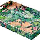 Zosenley Rectangular - Decorative Plastic Tray with Handles Modern Vanity Serving for Ottoman, Coffee Table, Kitchen and Bathroom 13.8 x 9.84 Inch (Morris Green)