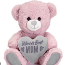 Plush Teddy Bear, World's Best Mom Bear, Pink