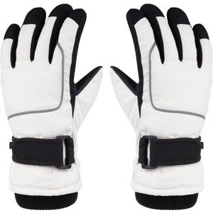 Pistha Winter Gloves Men Waterproof Gloves Thermal Ski Snow Gloves with Screen Touching for Cold Weather Outdoor Sports Work, L