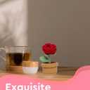 2 x Handmade Crochet Flowers, Crochet Roses, Knit Flowers, Teacher Appreciation Gifts, Perfect for Birthday, Anniversary, Christmas, Rose (Red)