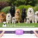 Dog Shock Collar - 2600FT Dog Training Collar with Remote, 3 Modes(Beep/Vibration/Shock), Security Lock, IP68 Waterproof Rechargeable E-Collar for 10-120lbs All Breeds (Purple)