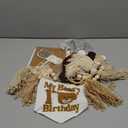 Bear 1st Theme First High Chair Banner For 1st Birthday Party Decorations With One Cake Topper (White Beige Khaki)