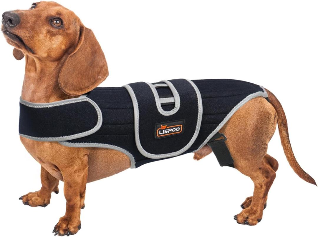 IVDD Dog Back Brace | Post-Surgery Support & Arthritis Relief | Vet-Recommended Spinal Support for Dogs | Breathable Fabric with Support Rods & Adjustable Straps (Size S)