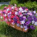 Artificial Flowers for Outdoors Fake Plants Outside Decoration, 20 Bundles Silk Petunia with Eucalyptus UV Resistant Realistic Faux Flowers for Outdoor Planters Garden Balcony Yard Porch Patio, Mix