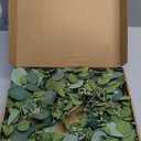 HomeKaren Eucalyptus Wreaths for Front Door 22", Handmade Green Leaves Wreath for Summer, Spring and All Seasons, Greenery Floral Wreath for Wall and Outside