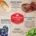 Chicken Soup for the Soul All Natural Premium Small Bites Adult Dry Dog Food, Real Meat First Ingredient, No By-Products, Supports Gut & Immune Health, Beef & Brown Rice, 4.5lb (EXP 12/12/25)