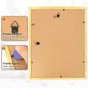 8.5x11 Picture Frame Set of 8, Gold Photo Frames for Gallery Wall Mounting, Display Pictures 6x8 with Mat or 8.5 by 11 Without, Certificate Frame with Plexiglass for Home Office Wall Decor