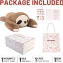 Niuniu Daddy 26" | 5LB Sloth Weighted Stuffed Animals for Adults Kids, Large Brown Sloth Weighted Lap Animal Plush Toy, Giant Body Pillow with Bag Stickers as Gift for Christmas Birthday Holidays