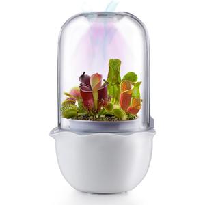 Venus Fly Trap Terrarium Pot with Timer Grow Light & Fan, Smart Planter for Succulents Butterwort, Carnivorous Plants Pot, Christmas Birthday Gifts for Women Garden Lover (no Plant)