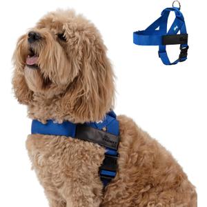 Dog Friendly Co. Dog Harness | Chafe Resistant Webbing, Adjustable Neck & Chest, and Heavy Duty D-Ring | Sturdy, Comfortable, Easy to Use | Classic Blue, Size M