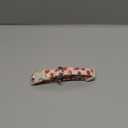 Dog Collar-Summer Puppy Collars-Adjustable Strawberry Pet Collar for Small,Medium,Large Dogs-Durable & Cute Design (StarBerry CC)