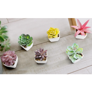 7 Set Artificial Faux Succulents in Pots Artificial Succulent Plant for Women Assorted Decorative Small Fake Plant Potted Faux Cactus Plant for Shelf Desk Room Bedroom Bathroom Office Decor (Cute)