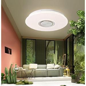 ele ELEOPTION 17 Inch 24W Smart Bluetooth LED Close to Ceiling Light Flush Mount with Remote or Phone Control Dimmable Low Profile Ambient Light Fixture for Kitchen Bedroom Living Room ele ELEOPTION 17 Inch 24W Smart Bluetooth LED Close to Ceiling Light Flush Mount with Remote or Phone Control Dimmable Low Profile Ambient Light Fixture for Kitchen Bedroom Living Room