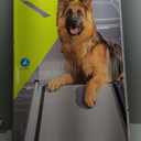 PetSafe Happy Ride Compact Telescoping Dog Ramp - Portable Pet Ramp for Cars, Trucks & SUVs with Adjustable Sizing - Non-Slip Design - Lightweight Pet Mobility Assistance (Standard)