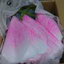 Giant Flowers for Decoration with Stand 5.9Ft Large Paper Artificial Flower | Big Paper Flower for Birthday Parties,Gardens,Hotels,Offices,Home Farmhouse Decor,Weddings,Art Galleries,Stores(Pink)
