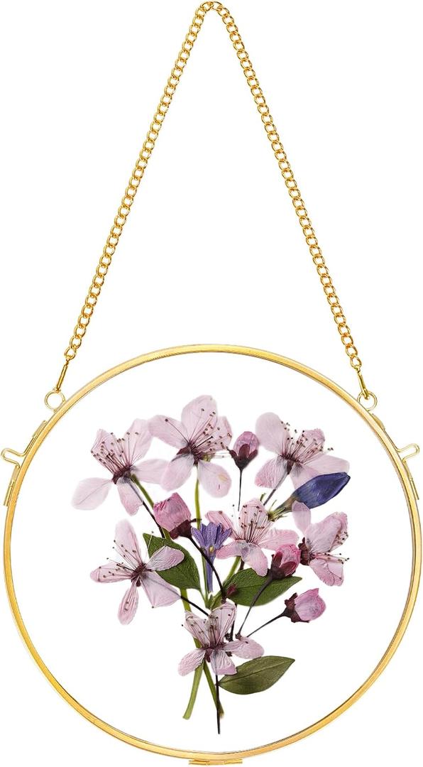 REDHUGO Glass Frame for Pressed Flowers Handmade, Wall Hanging Brass Floating Frame, Double Glass Round Picture, Glass Frame for Dried Flowers Poster Home Wall Decor, Circle, Gold  Gold, 6.3"L x 6.3"W (FRAME ONLY)