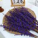 10Pcs Long Stem Jasmine Purple Flowers Artificial 29.5"/75cm Table Flower Decor Faux Jasmine Bouquet for Wedding Bride Shower Party DIY Floral Art Arrangements Decoration