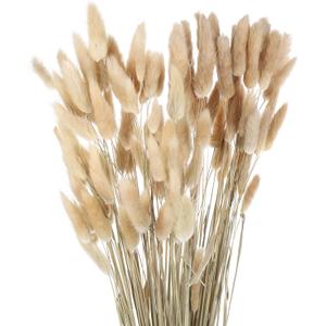 MECCANIXITY 120pcs Natural Rabbit Bunny Tails Dried Flowers 24" Mini Pampas Grass Lagurus Ovatus Bunch for Floral Wedding Decor Christmas, Beige