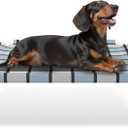 Caghash Elevated Outdoor Raised Dog Bed Outdoor Dogs Bed Lifted Pet Bed Dog Cot for Pet Taste Life, Start with A Pet Bed 20'' x 20'' x 6.5''