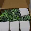 Der Rose 4 Pack Fake Plants Mini Artificial Greenery Potted Plants for Home Decor Indoor Office Table Room Farmhouse Bathroom Decor (Grey)