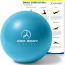 ProBody Pilates Ball 9 Inch - Small Exercise Ball for Stability, Barre, Core, Ab Workouts, Yoga, & Physical Therapy
