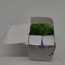 GREENTIME 4 Pcs Fake Plants Potted Small Artificial Plant Indoor Faux Greenery in White Pot for Home Office Bedroom Desk Bathroom Shelf Farmhouse Decorations