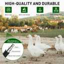 ZeroPone Black PVC Coated Welded Wire Fence 24 Inch x 50 Foot, 2 x 3 Inch 16GA Garden Border Fencing Roll Metal Wire Mesh Animal Barrier Fence for Yard Plant Vegetable Protection Dog Poultry Netting