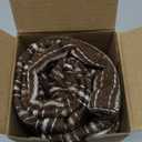 Kevin Textile Brown and Beige Patchwork Farmhouse Throw Pillow Covers 12 x 20 Inch, Pack of 2 Striped Linen Decorative Pillow Case for Sofa Couch Chair Bedroom Modern Decor