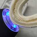 Ultrasonic U-Shaped Toothbrush for Teeth Whitening, Electric Toothbrush for Adults 360-degree Cleaning,3 Brush Heads, Wireless Charging and IPX7 Waterproof Kit for Travel or Home(Black)