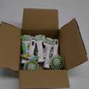 Scotch-Brite Little Handy Scrubber Brush, Small & Versatile Cleaning Tool with Long Lasting Bristles, 5 Scrub Brushes