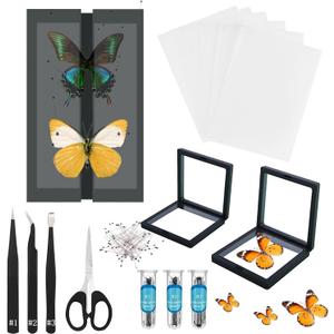 Butterfly Specimen Kit Includes pins, mounting Board, Spreading Tools, Display case, Labels, Forceps, Preserving and showcasing Butterfly specimens. (Black PVC Display Case Box Kit)
