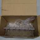 LemonRoad 10 Pack Large Balloon Arch Clips Plastic Transparent Backdrop Spring Clamps 3.5 Inch Heavy Duty Clip for Balloon Arch Kit Birthday Decoration Crafts Woodworking Photography Studios (Clear)