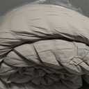 Quataly Oatmeal Twin/Twin XL Comforter Set - 2 Pieces Seersucker Lightweight Bedding Comforter Sets (1 Soft Fluffy Comforter & 1 Pillowcase) - All Seasons Cozy Modern Bed Sets for Women Men (Twin (68''*90''))