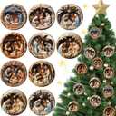 BBTO 16 Pcs Nativity Scene Ornaments Religious Christmas Wooden Hanging 3D Ornament The Birth of Jesus Christian Christmas Decorations for Tree Xmas(Nativity)